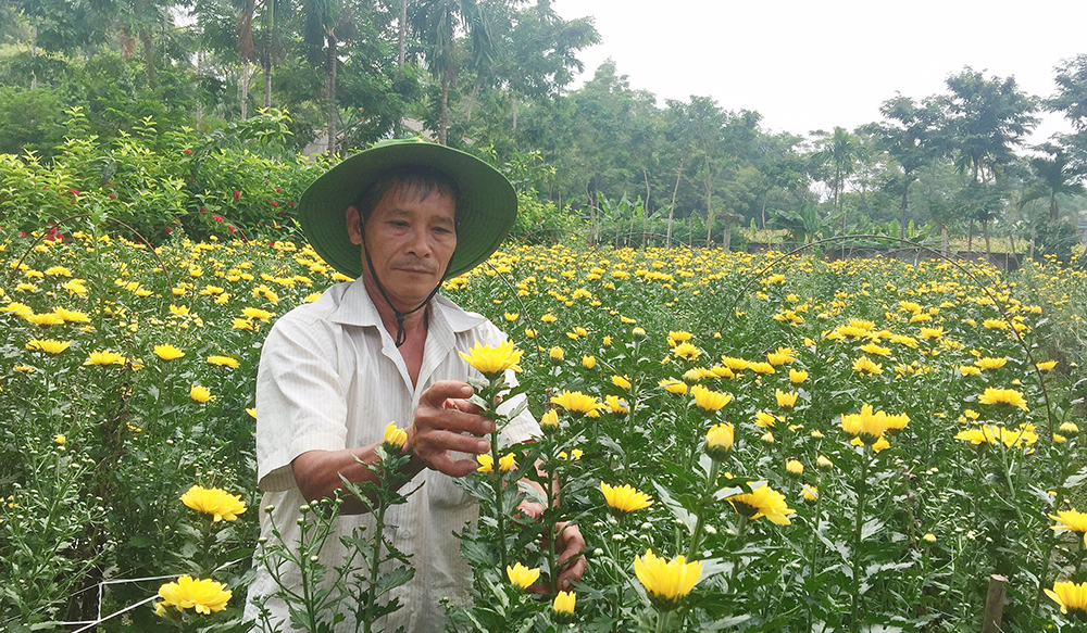 Tiên Du tập trung phát triển kinh tế hộ